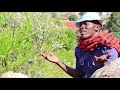Milden Koita Ev Wezolawi Official Video