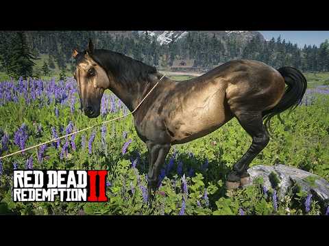 Taming the wild horses of the desert - Red Dead Redemption 2