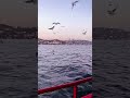 12 апреля 2024 г