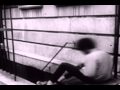 The Seeds - No Escape