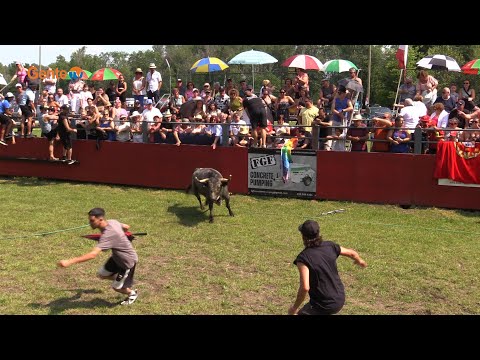 Festa Brava - Picnic, Toiros e Musica com Gente da Nossa no Madeira Park