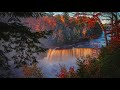 "Herbstbild"  by John Salmon