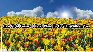 Download lagu Late Night Feeler - I Don't Want To Do This Without You mp3