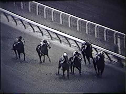 Dr. Fager - 1967 Vosburgh Handicap