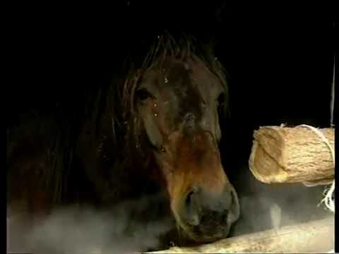 Magna Hungária Expedíció 1. rész