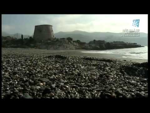 Salud al día 27-07-2014