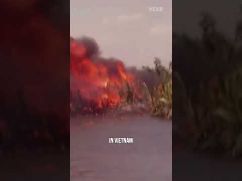 Why Did The Military Stop Using Flamethrowers?