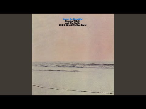 What Can You Bring Me - Charles Wright