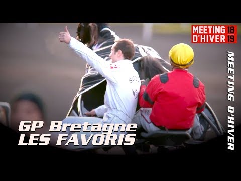 Grand Prix de Bretagne 2018 - Les favoris Bold Eagle & Franck Nivard