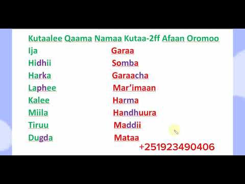Kutaalee Qaama Namaa # Learn Afaan Oromoo #Amharic English letters