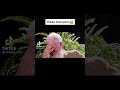 These Bloopers Have Me Dying Crystal Meth Santa Claus Tiktok Funny Tiktokcomedy Funnytiktok