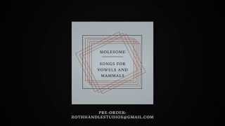MOLESOME - SONGS FOR VOWELS AND MAMMALS - Trailer