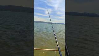 Download lagu Strike #fishing #strike #mancing #fyp #shorts #mancingmania #fish mp3 Download lagu Strike #fishing #strike #mancing #fyp #shorts #mancingmania #fish mp3