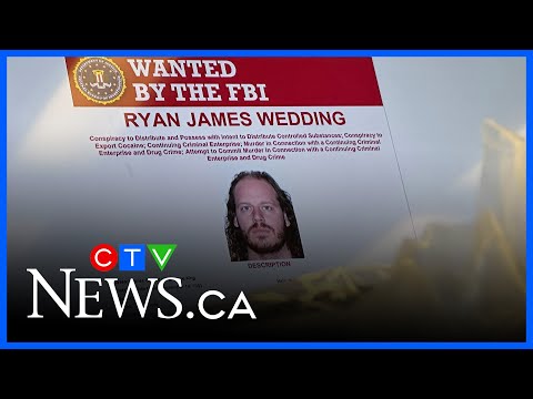 Mexican authorities raid homes as they continue to search for Ryan Wedding