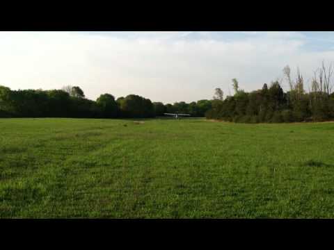 Super Cub landing on grass strip