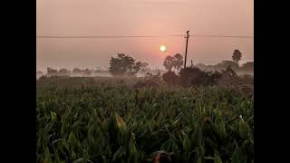 Sunset Snaps on 7th December 2025