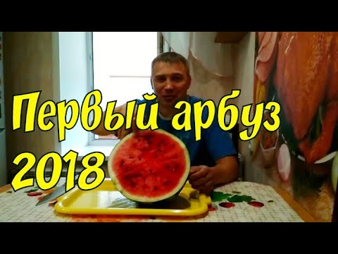 Первый арбуз 2018