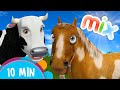 Cow's and Horses Songs Mix -  Kids Songs & Nursery Rhymes