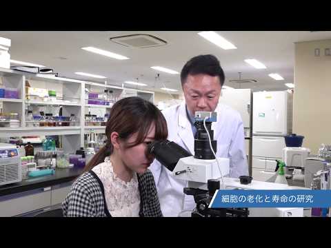 バイオデータサイエンス学科 長浜バイオ大学研究紹介 Vol.1-2 向由起夫先生