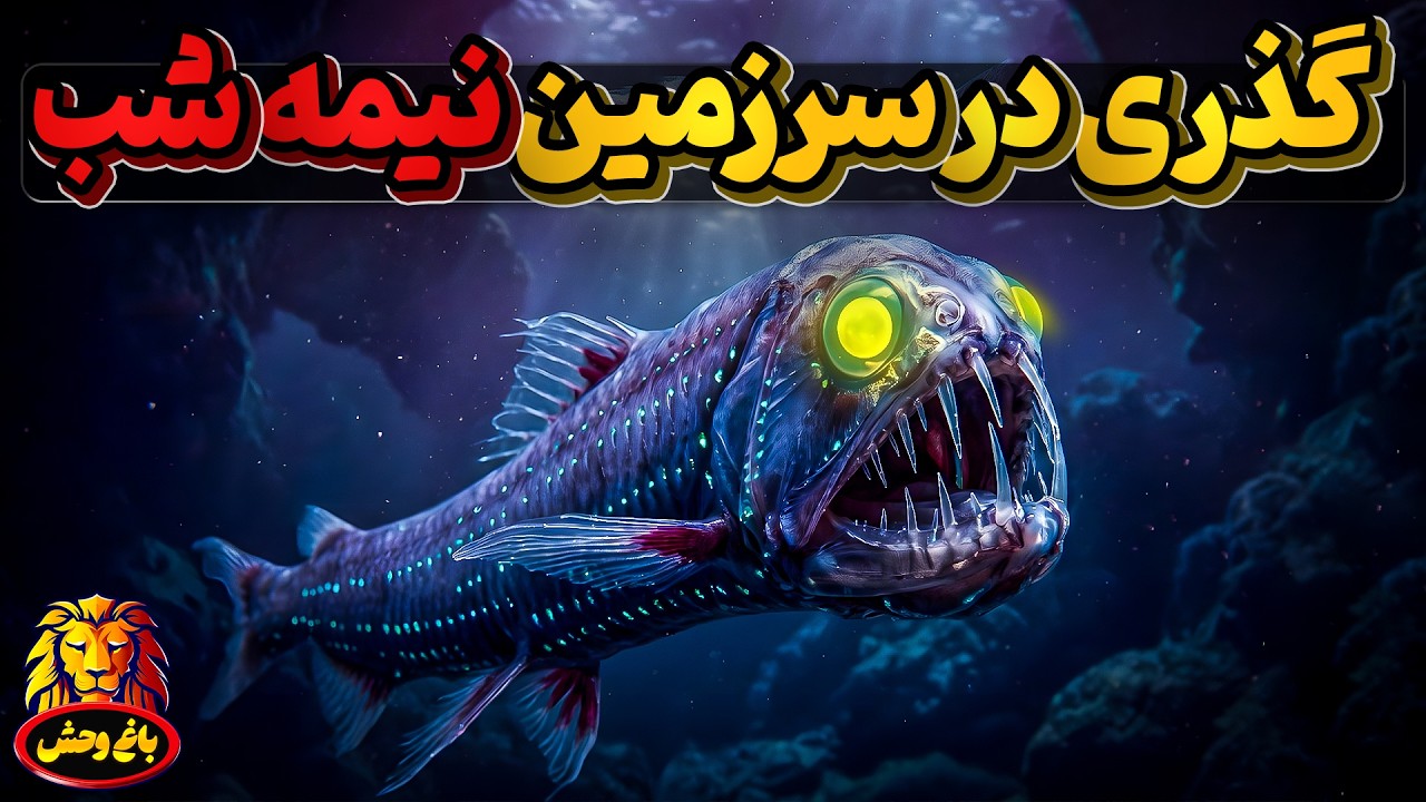 سفری دیگر به گود ترین نقاط اقیانوس ها و گذر از سرزمین نیمه شب
