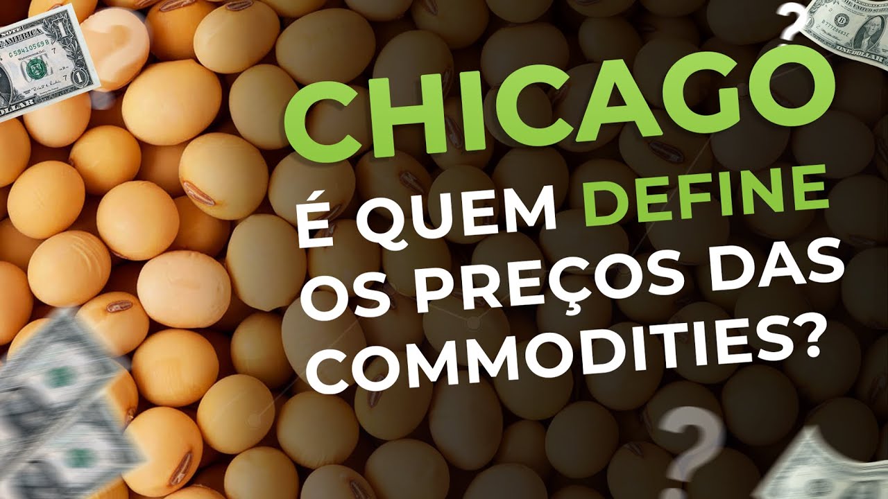 O que o preço da SOJA tem a ver com CHICAGO? Aprenda como o preço de soja é formado.