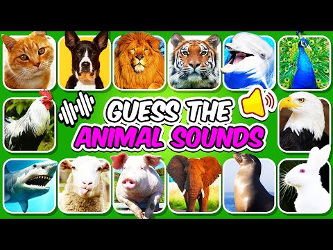 Can You Guess 100 Animal by the Sound? | Guess The Animal Quiz 🔊