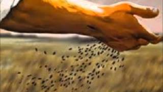 The Service Of The Sod   MICHAEL CARD