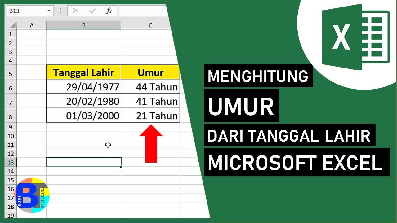 Cara Menghitung Umur di Excel dari Tanggal Lahir | Belajar Excel