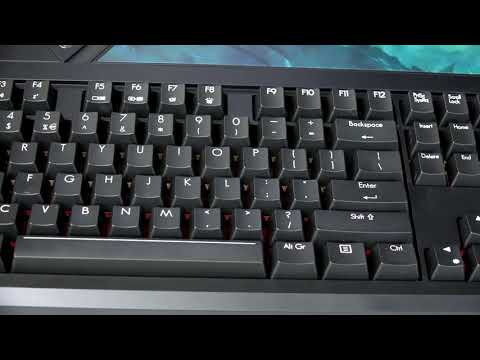 Acer Predator 21X World's Largest Laptop   Review