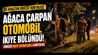 Ağaca Çarpan Otomobil İkiye Bölündü, Sürücü Hafif Sıyrıklarla Kurtuldu