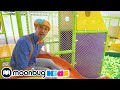 Blippi Aprende En El Patio Cubierto De Juegos BlippiEspañol Moonbug Kids En Español