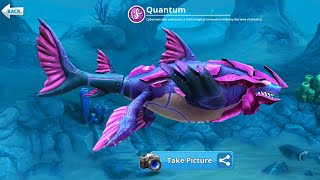 Hungry Shark World - New Shark Quantum Gameplay