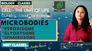 | MICROBODIES | PEROXISOME | GLYOXISOME | SPHAEROSOME | NCERT | CLASS 11 | BIOLOGY| |LECTURE 17|