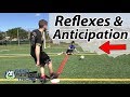 Goalkeeper Training - Reflexes and Anticipation