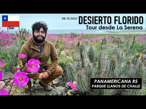 , title : 'DESIERTO FLORIDO ATACAMA desde LA SERENA: Panamericana & Parque Llanos de Challe | 08 Octubre 2022'