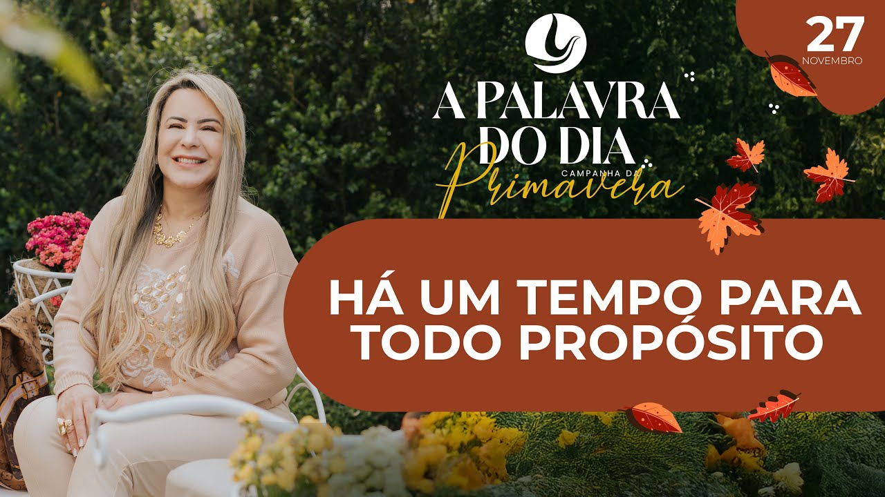 A PALAVRA DO DIA | 27 NOV 2024 | @VirginiaArruda