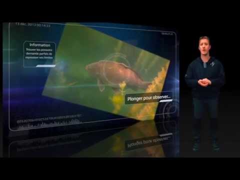 Technical Impact 1ère partie "Combi stiff et zone spot"