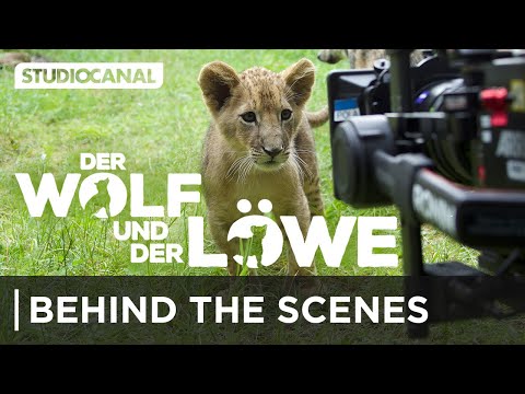 Trailer Der Wolf und der Löwe