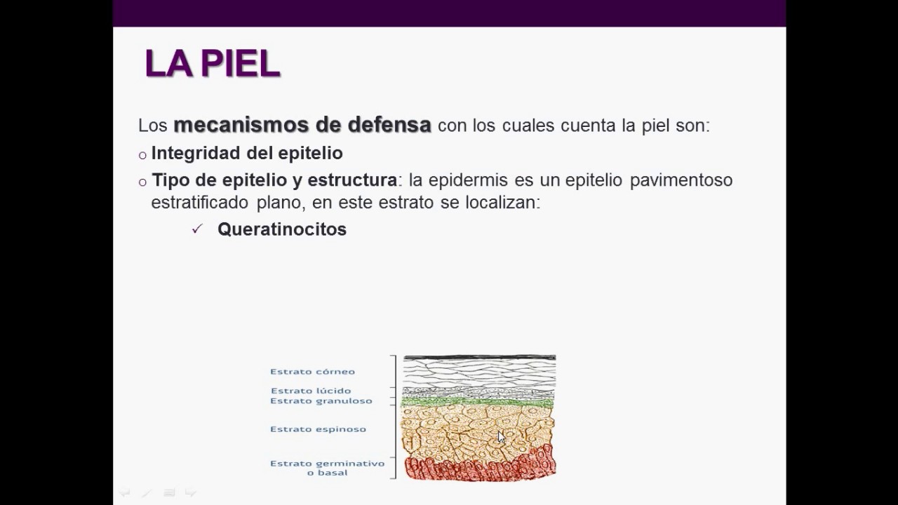 Introducción a la inmunología humana - Clase 2: Inmunidad Innata "Las barreras naturales"