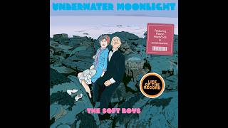 The Making of UNDERWATER MOONLIGHT by The Soft Boys - featuring Robyn Hitchcock