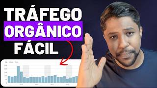 ONDE E COMO CONSEGUIR TRÁFEGO ORGÂNICO PARA BLOGS