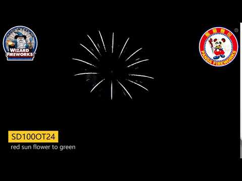 SD100OT24