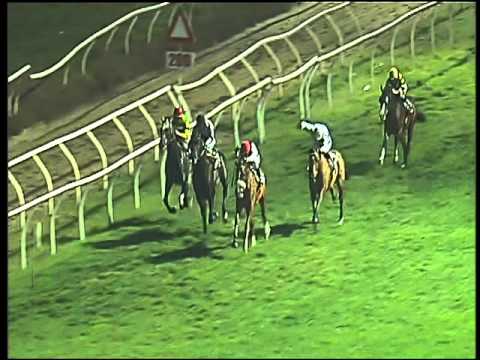 Galoppo 09/02/2016 - 7° corsa