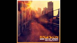 Raekwon - Never Can Say Goodbye