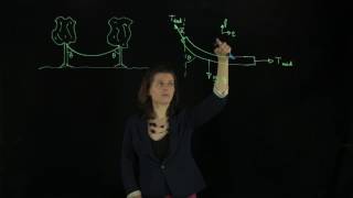 13.1 Rope Hanging Between Trees