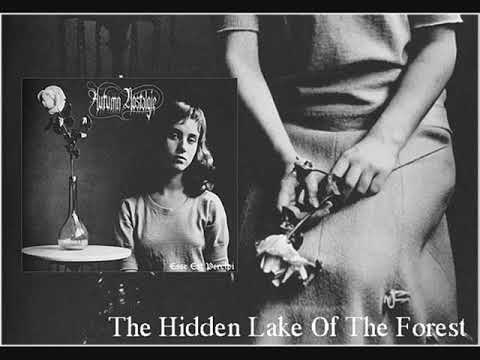 Autumn Nostalgie - The Hidden Lake of the Forest