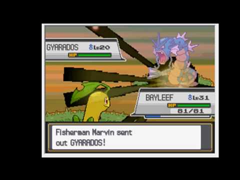 Pokemon Soul Silver Walkthrough Part #31: Around the Lake
