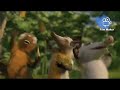 Over The Hedge In 13 Minutes