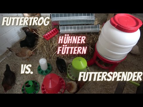 Hühner Tipp 12 - Futterspender kaufen - auf was sollte man achten? füttern Futtertrog Futterautomat