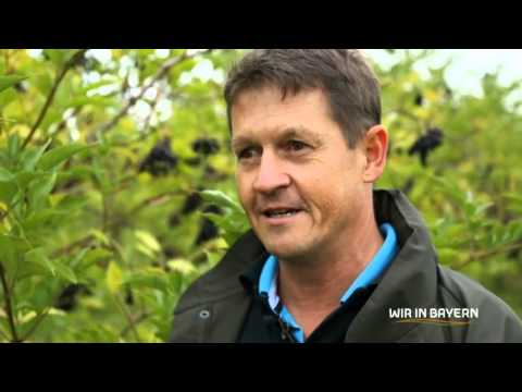 Allgäuer Holundermanufaktur | Holdergold & Holunder-Balsamico Essig | Andreas von Bergwelt